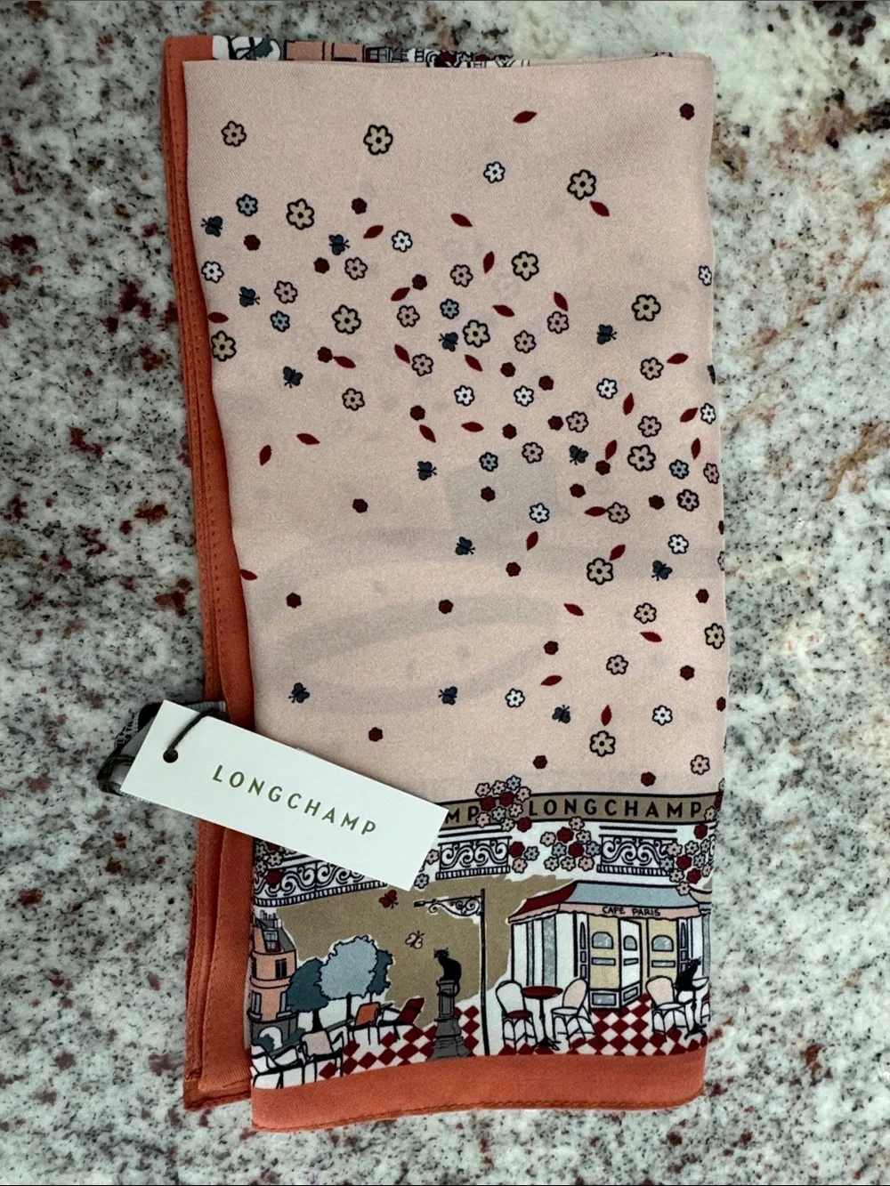 Longchamp Eiffel Tower Scarf in Pink and Taupe
